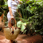 Best Straw Bag natural baskets with clasp belt